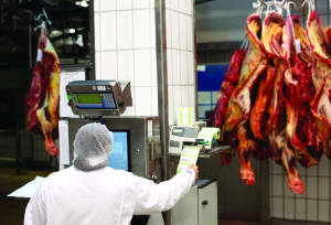 Future facility: the rise of data